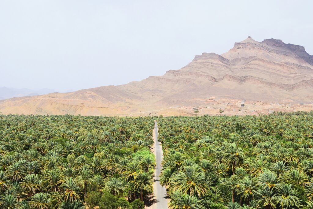 Things to Do in Zagora Sahara: The Ultimate Guide to Morocco’s Desert Gateway