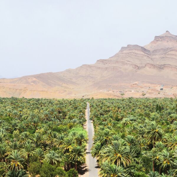 Walking Tour Draa Valley and Kasbahs Zagora