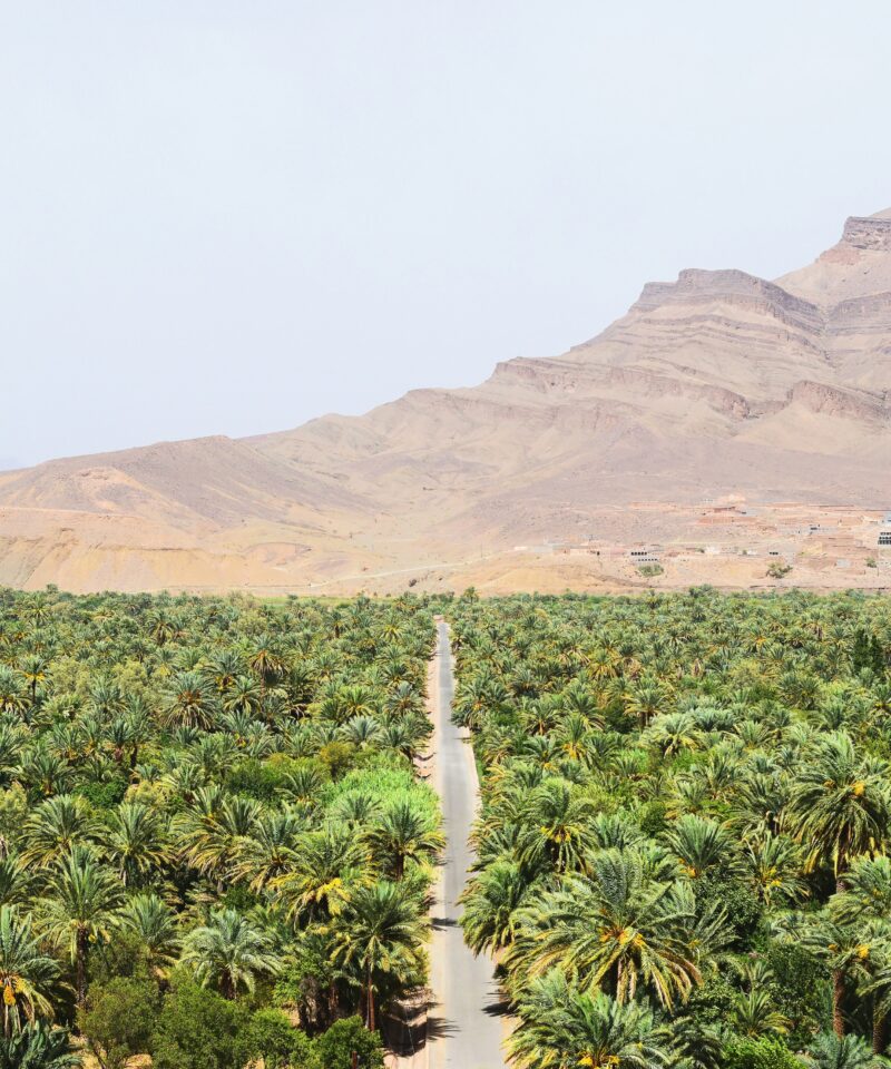 Walking Tour Draa Valley and Kasbahs Zagora