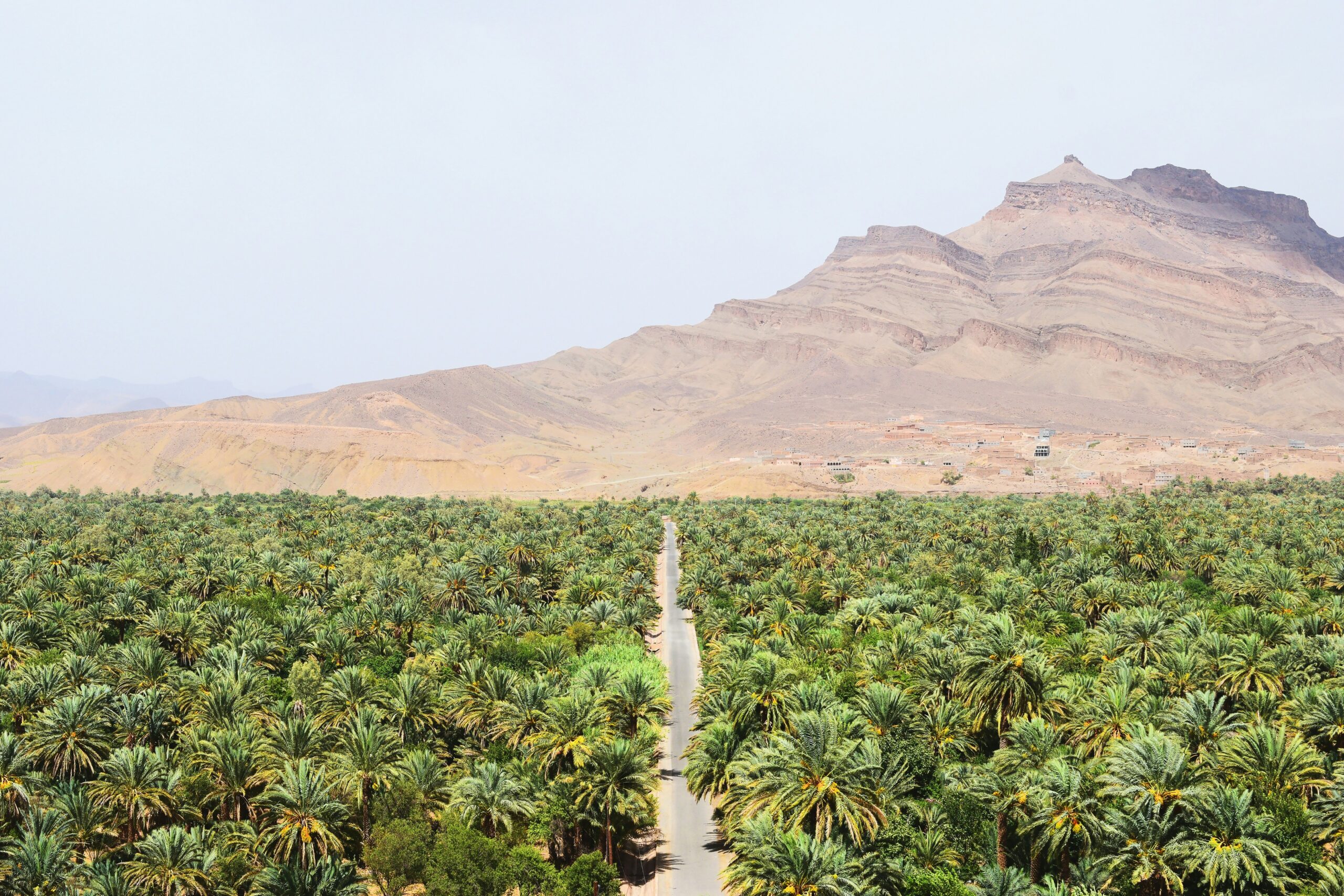 Walking Tour Draa Valley and Kasbahs Zagora Walking Tour Draa Valley and Kasbahs Zagora
