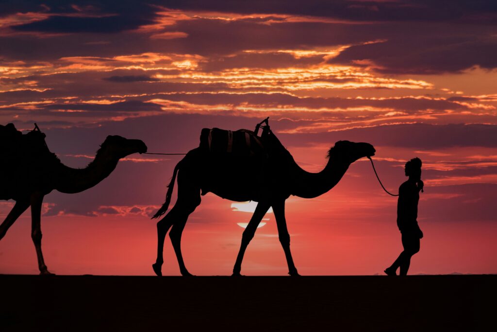 Sunset Camel Ride in Zagora Desert