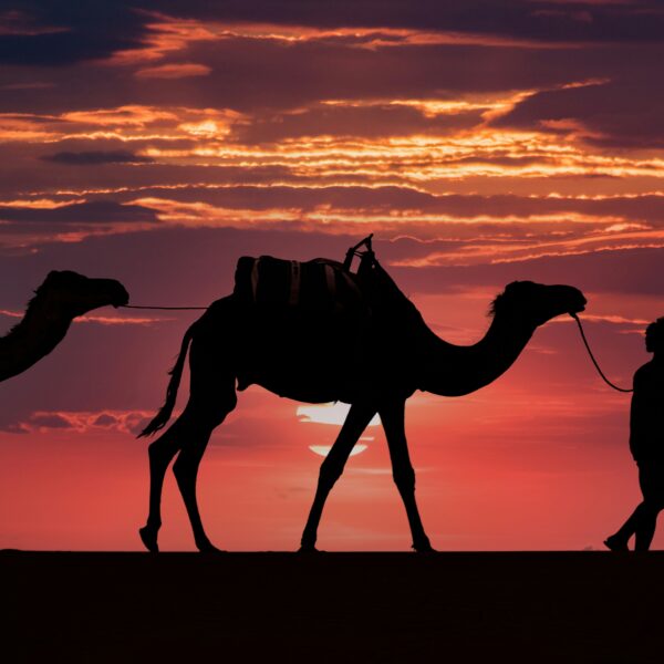 2-Day Zagora Desert Tour from Marrakech