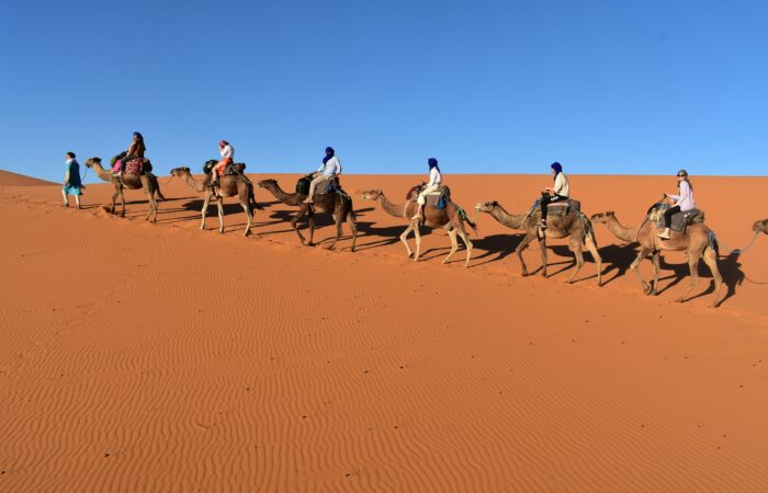 Group 2-Day Desert Trip from Marrakech to Zagora