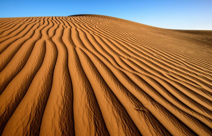 Tour di 2 Giorni nel Deserto di Zagora da Marrakech