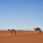 Tour de 2 Días al Desierto de Zagora desde Marrakech – Guía Completa