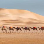 Tangier to Agadir via Merzouga Desert 3 Days Tour
