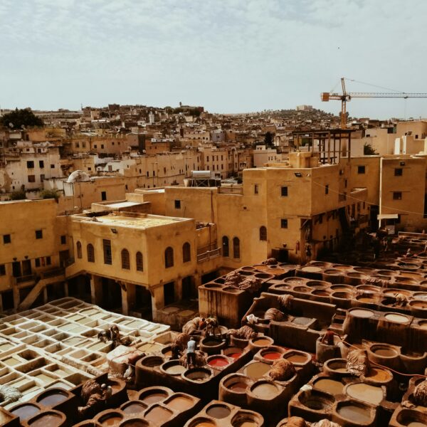 Fes Activites