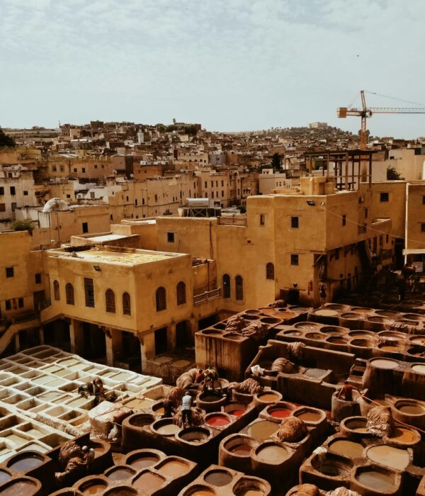 Best 5 Things to Do in Fes