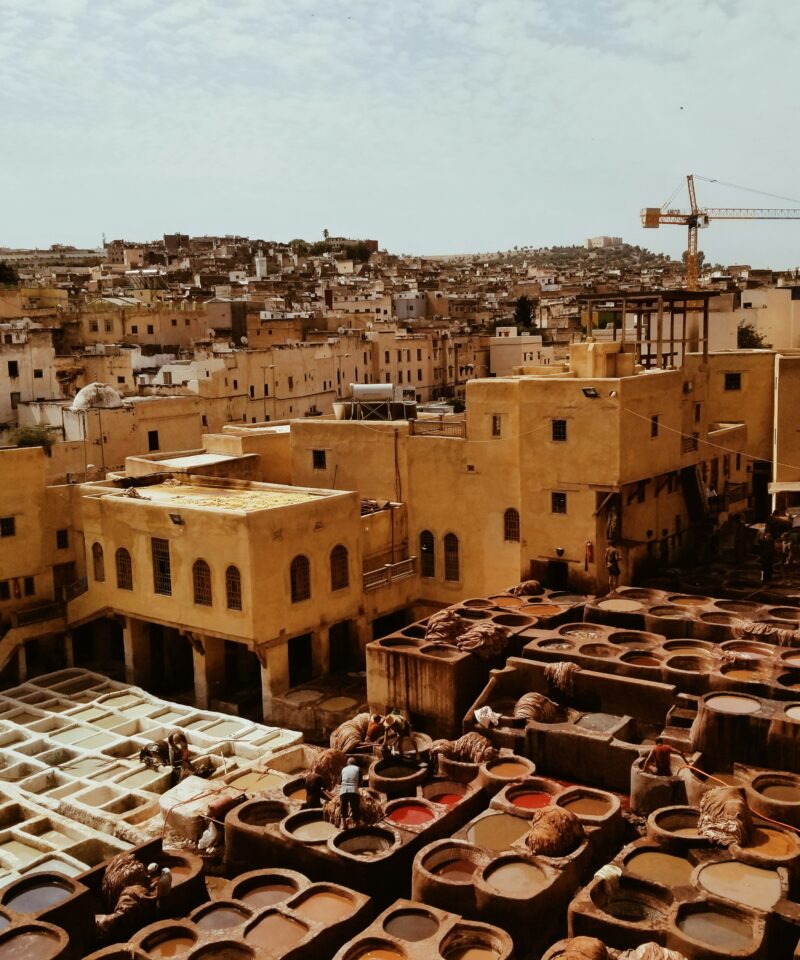Fes Activites
