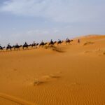 2 Days from Marrakech to Merzouga Desert Excursion