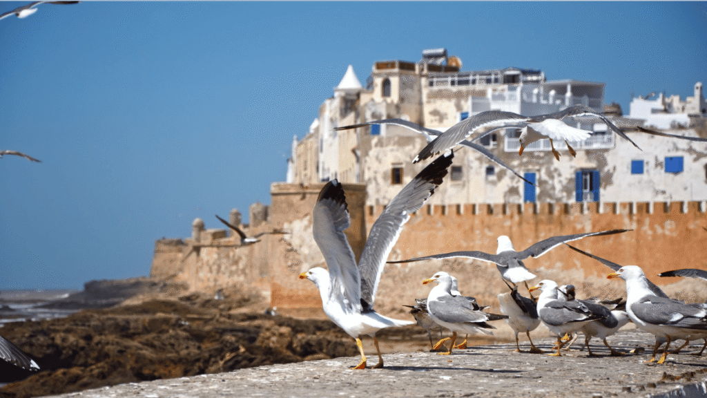 Tangier to Agadir via Zagora & Merzouga Desert 10 Days Tour