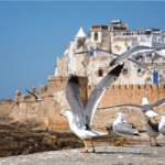Tangier to Agadir via Zagora & Merzouga Desert 10 Days Tour