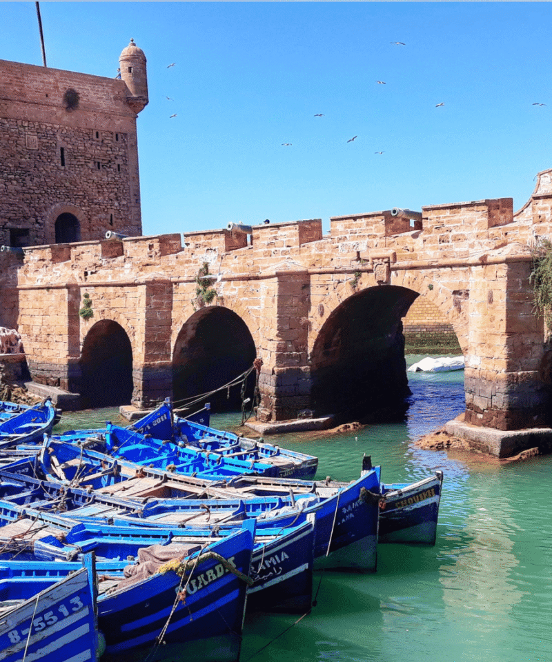 Essaouira Day Trip from Marrakech