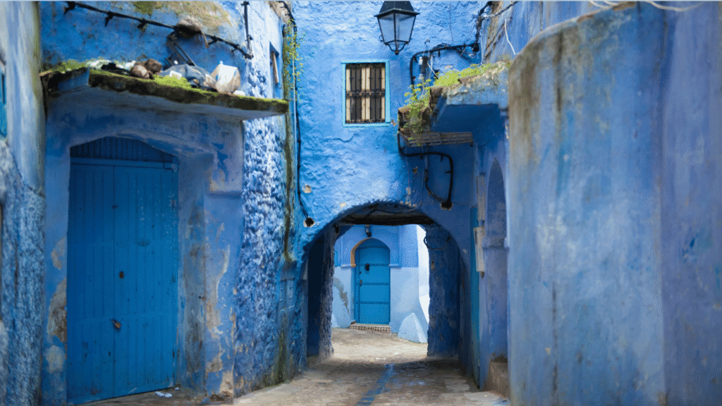 Chefchaouen Blue City Day Trip from Fes via Volubilis Roman Ruins