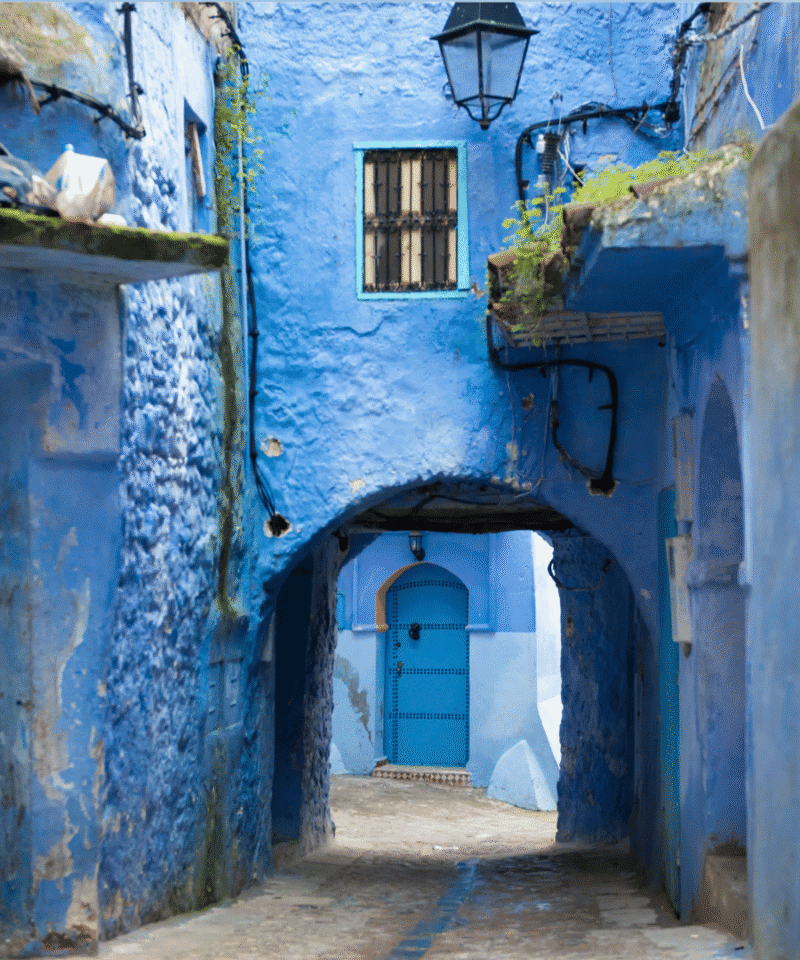 Chefchaouen Blue City Day Trip from Fes via Volubilis Roman Ruins