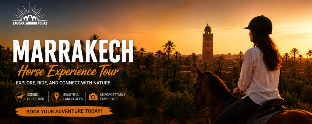 Marrakech Horse Experience Tour