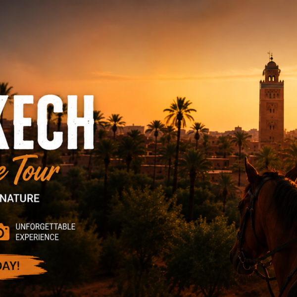 Marrakech Horse Experience Tour