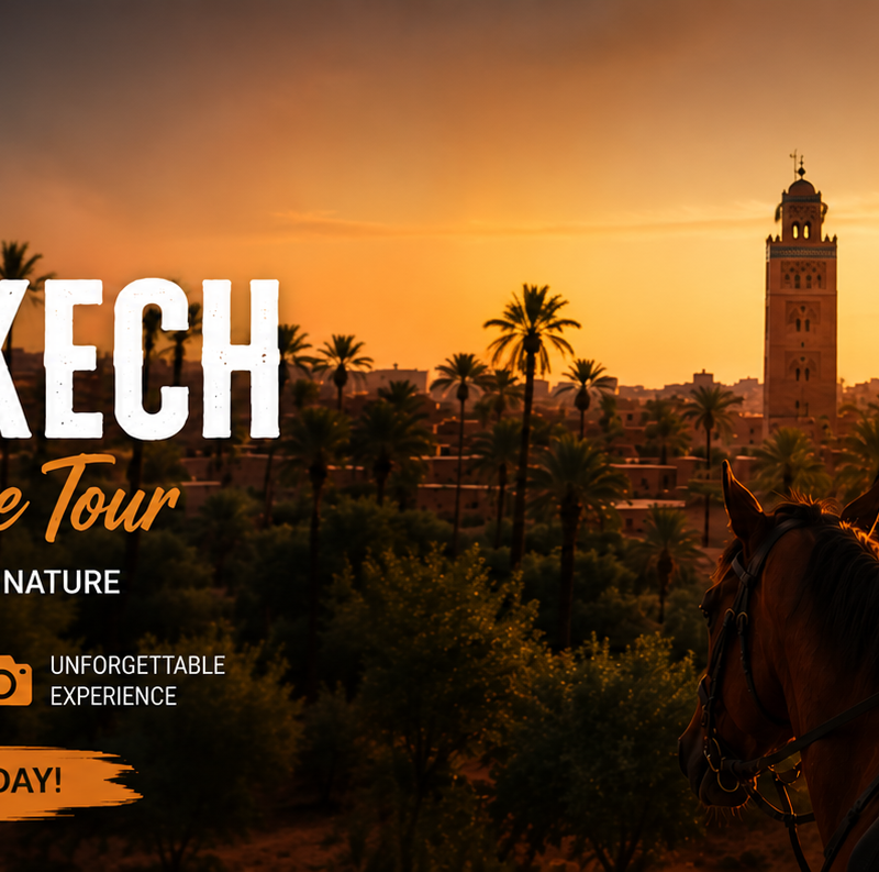 Marrakech Horse Experience Tour