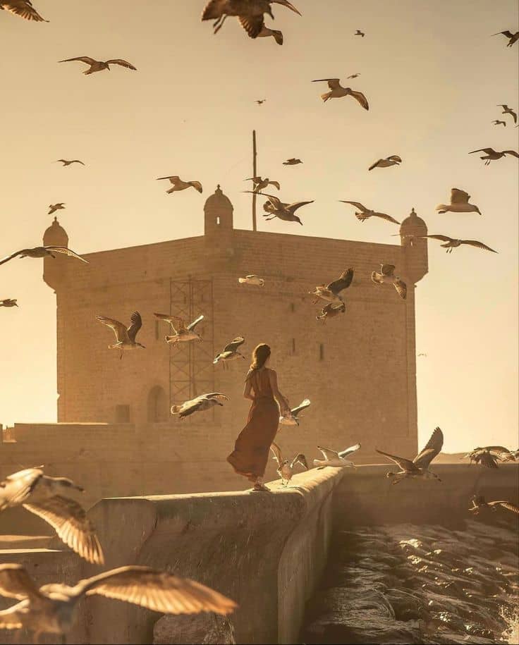 The Ultimate Day Trips from the Red City Marrakech The Ultimate Day Trips from the Red City Marrakech