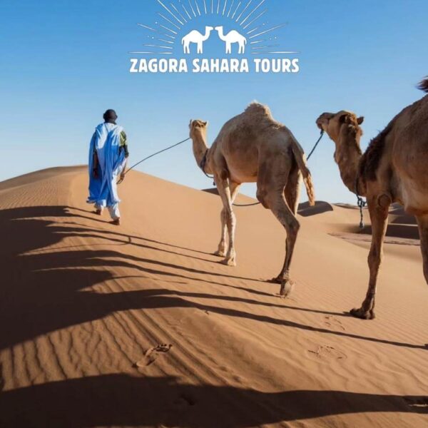 Camel Trekking in Merzouga Desert Activity