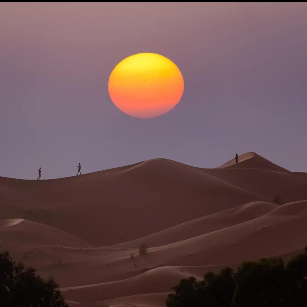 Sunset Camel Trekking in Merzouga Desert Activity