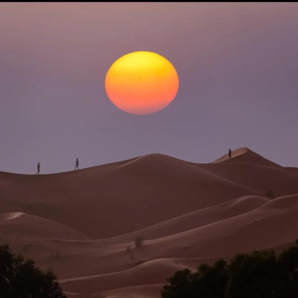 Sunset Camel Trekking in Merzouga Desert Activity