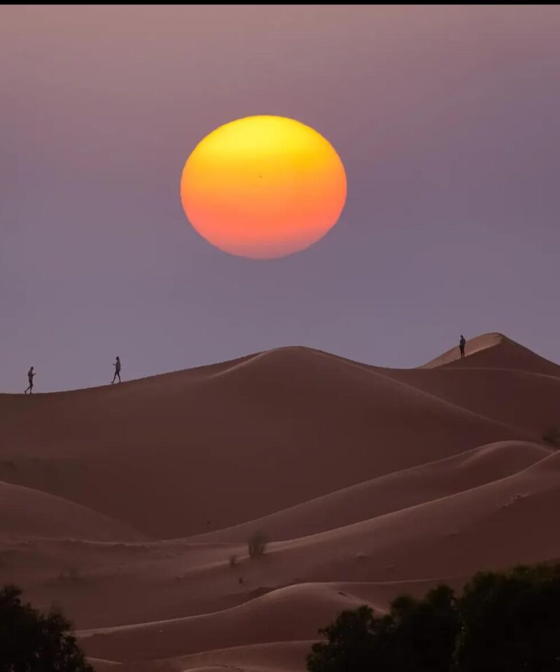 Sunset Camel Trekking in Merzouga Desert Activity
