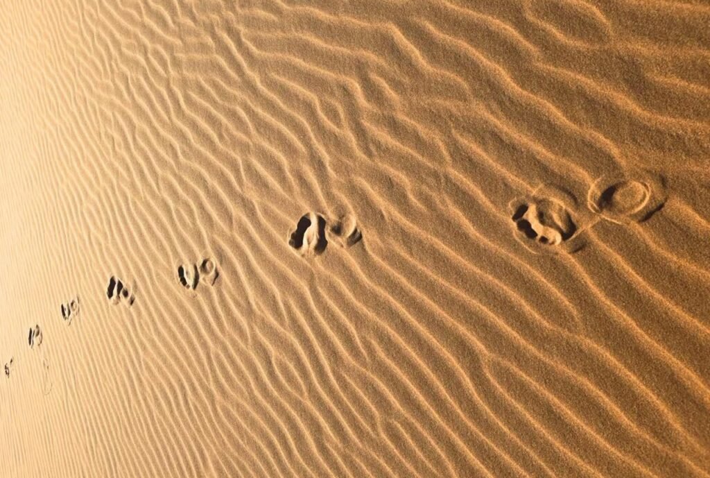 3 Days Marrakech to Merzouga Desert Tour: Complete Guide 2026–2027