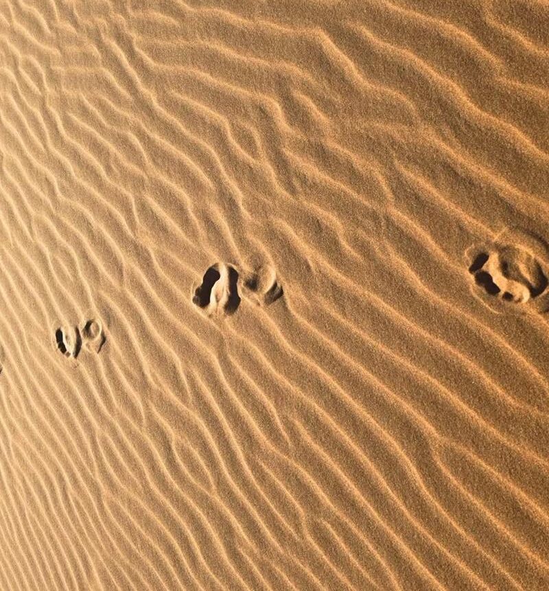 3 Days Marrakech to Merzouga Desert Tour: Complete Guide 2026–2027