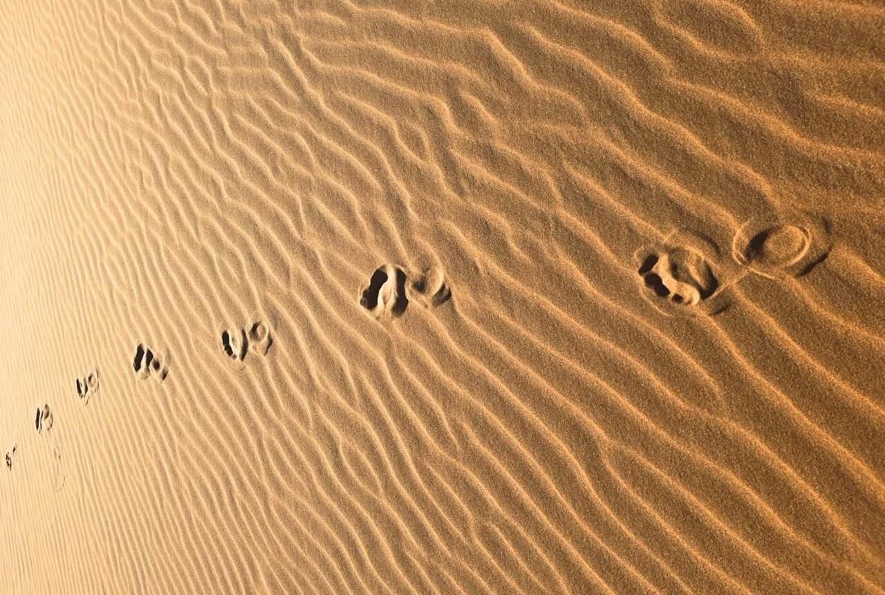 3 Days Marrakech to Merzouga Desert Tour: Complete Guide 2026–2027