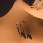 9 Days Sahara Tour From Marrakech to Merzouga Via Zagora