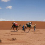 Camel Trekking Day Trip from Merzouga