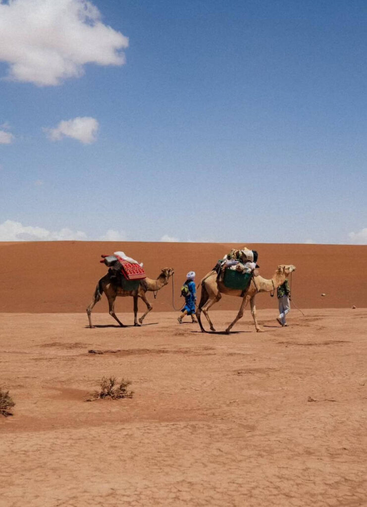 Camel Trekking Day Trip from Merzouga