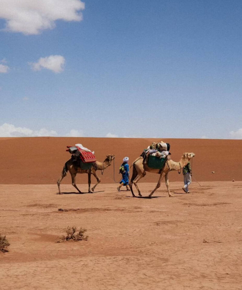 Zagora Nomadic Family Day Trip