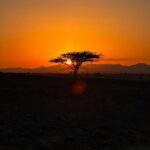 7 Days Sahara Tour From Marrakech to Merzouga Via Zagora