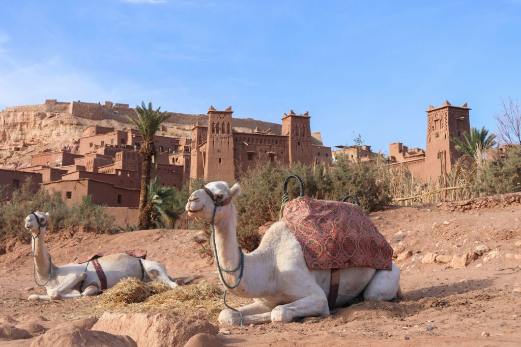 Ait Ben Haddou Day Trip from Marrakech