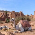 Oasis Fint Day Trip from Ouarzazate via Kasbah Ait Ben Haddou