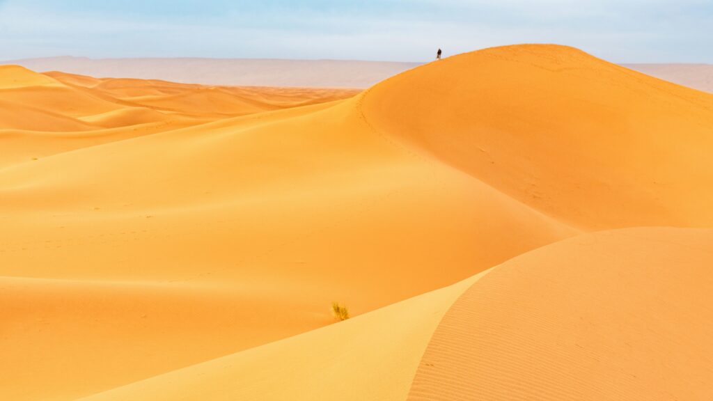 Desert Tinfou Day Trip from Ouarzazate via Kasbah Tamnougalt