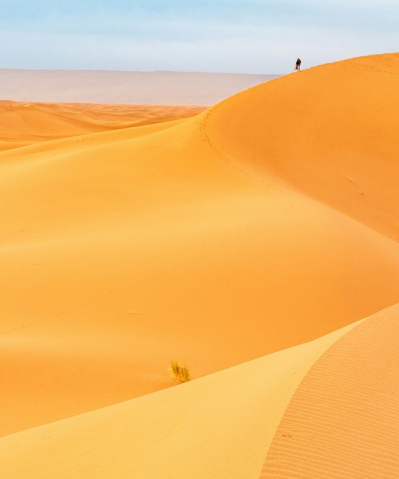 Desert Tinfou Day Trip from Ouarzazate via Kasbah Tamnougalt
