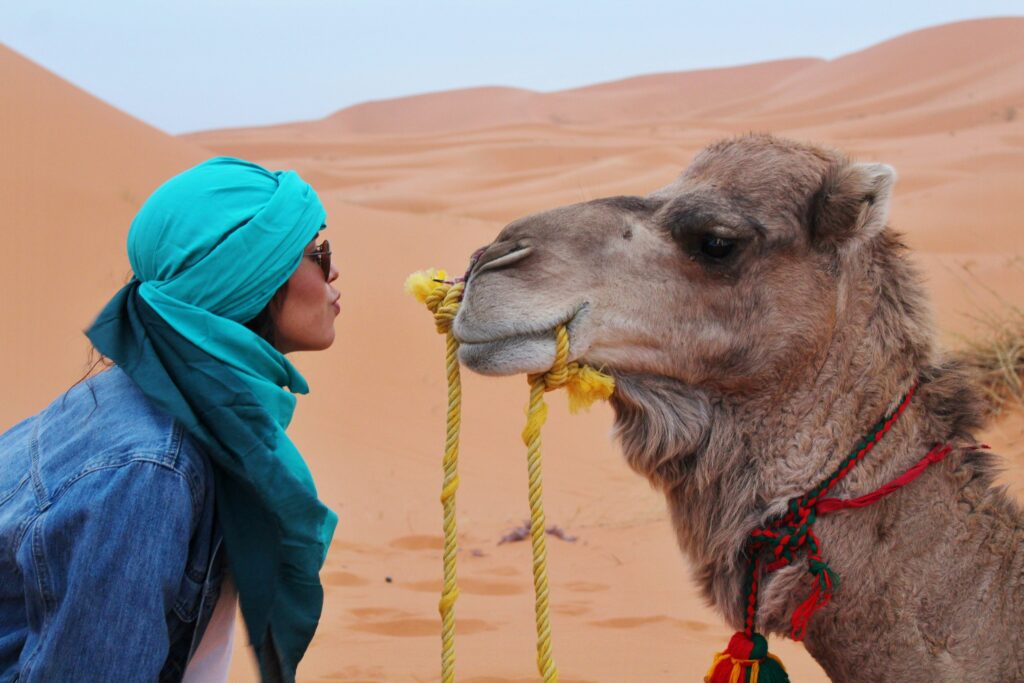 Merzouga Day Trips