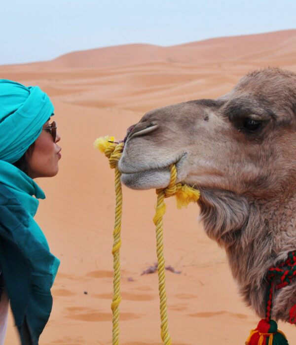 Merzouga Day Trips