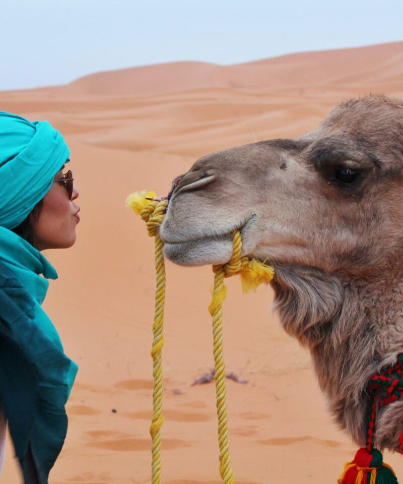 Merzouga Day Trips