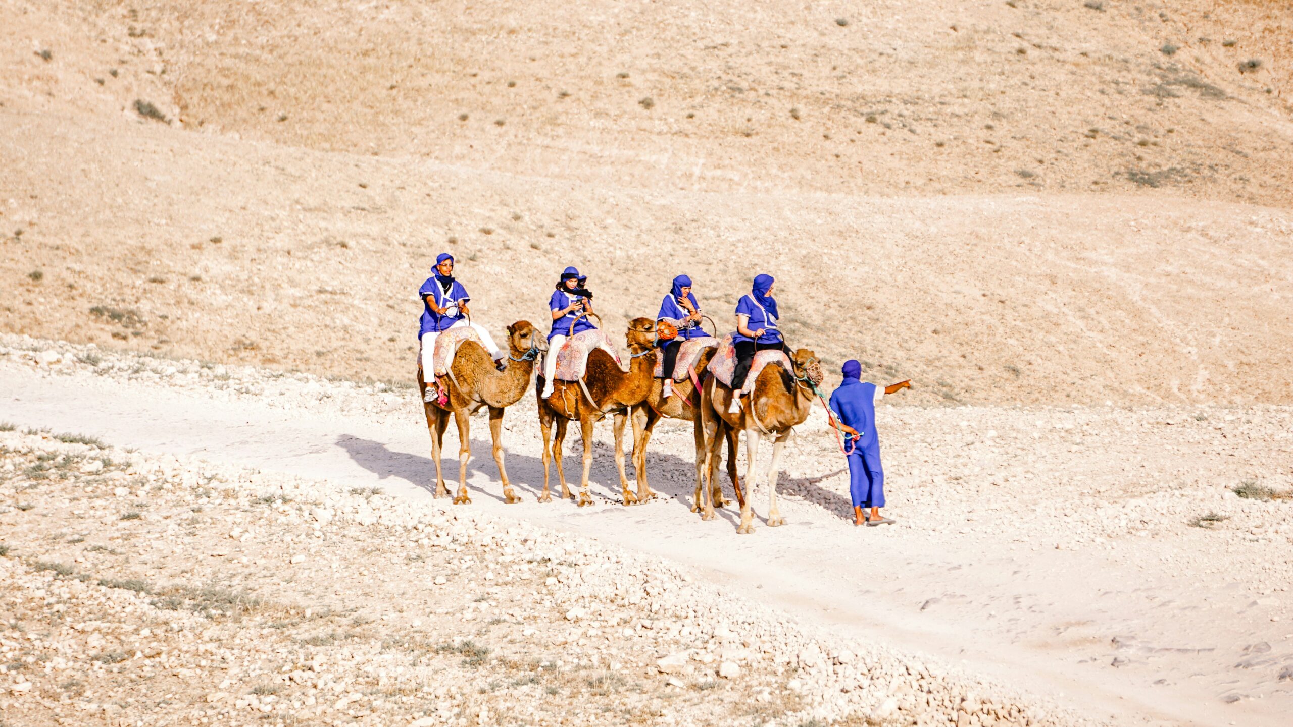 MOROCCO DAY TRIPS MOROCCO DAY TRIPS