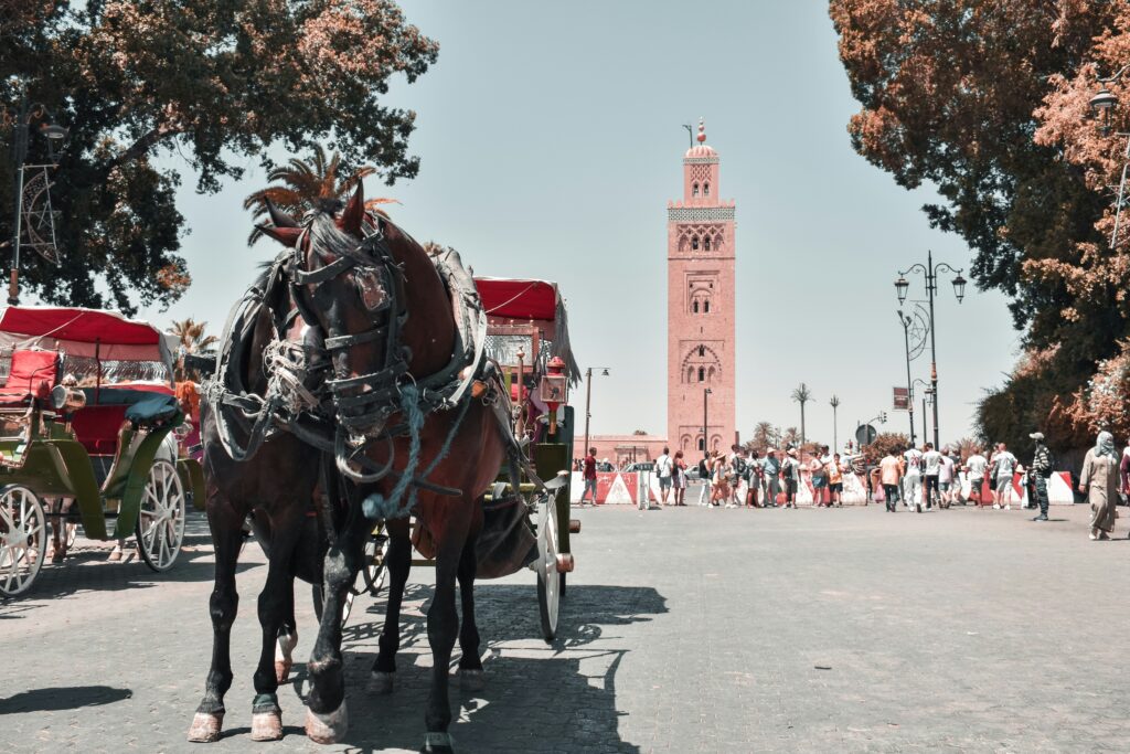 Rabat to Marrakech via Merzouga Desert 5 Days Tour 