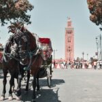 Marrakech Day Trip from Ouarzazate