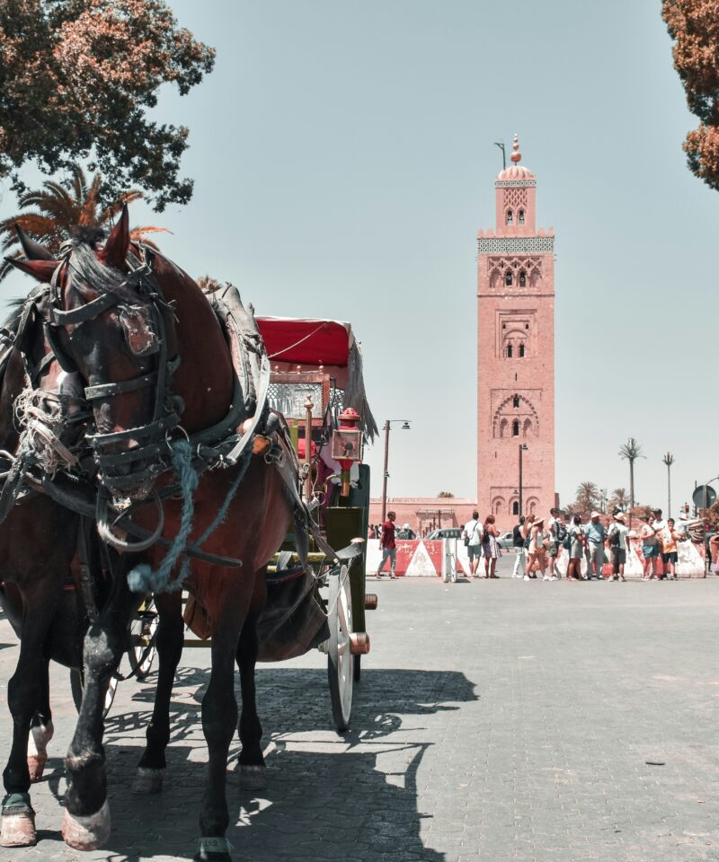 Marrakech Day Trip from Ouarzazate