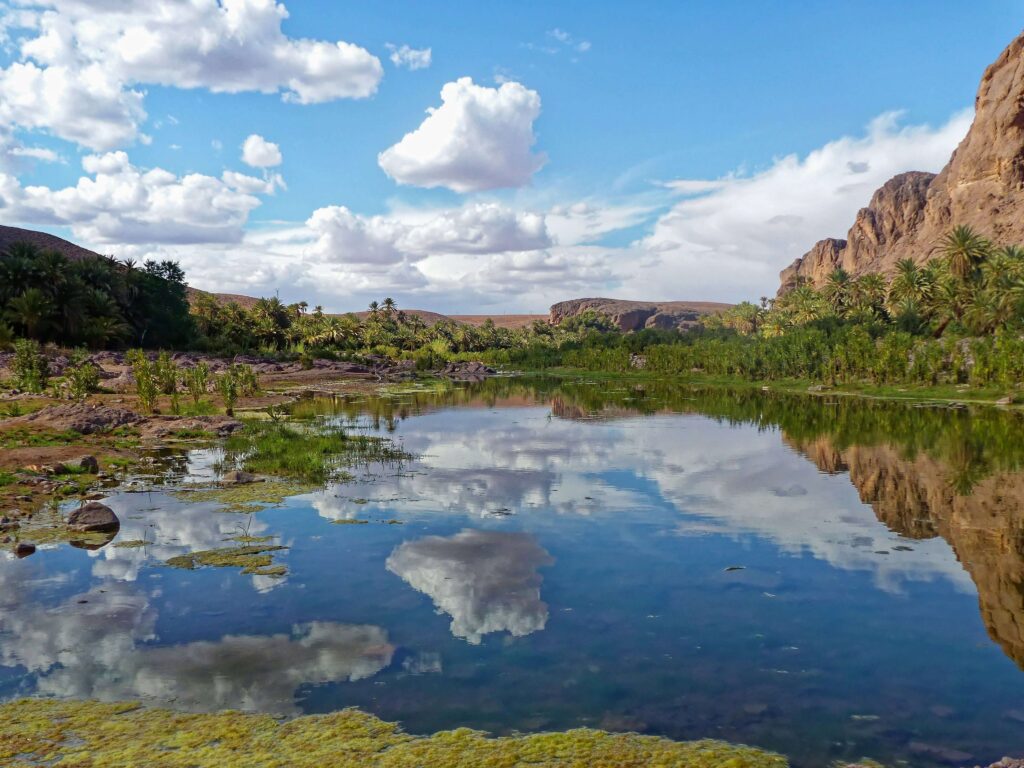 Visit the Oasis Fint in Ouarzazate