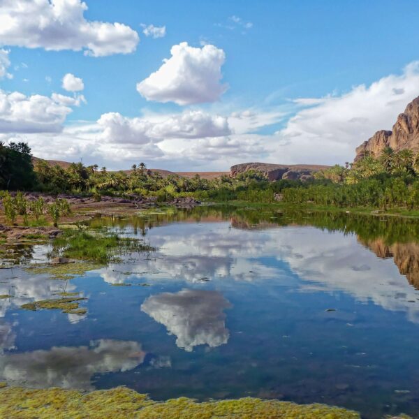 Visit the Oasis Fint in Ouarzazate