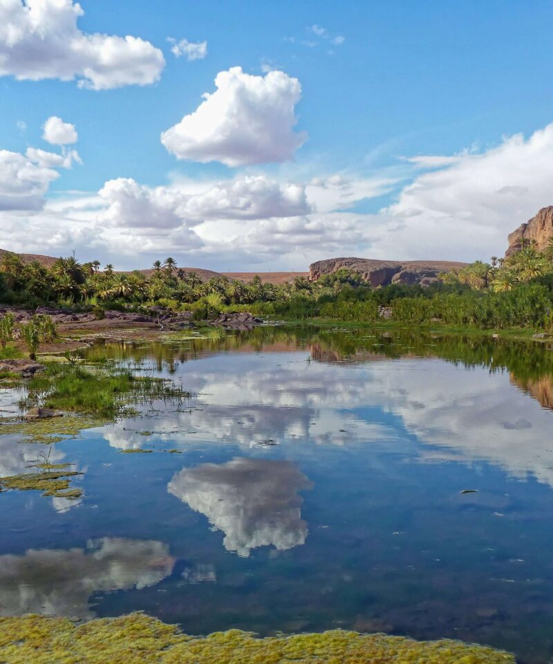 Visit the Oasis Fint in Ouarzazate