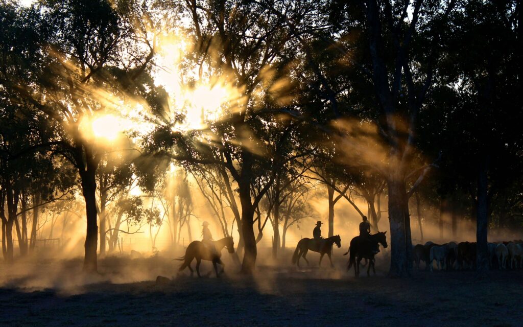 Ouarzazate Horse Riding Tour